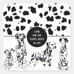 Sticker Carré Cute Dalmatienne, en noir et blanc, des endroits h