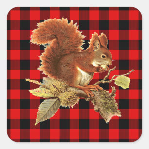 Sticker Carré Cute écureuil rouge noir Buffalo Check Plaid
