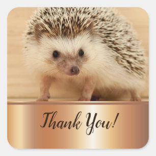 Sticker Carré Cute Hérisson Faux Gold Merci