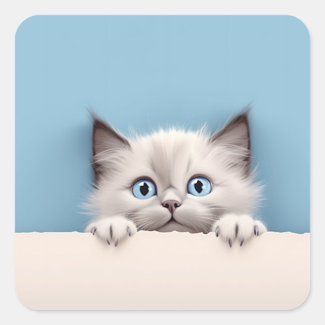 Sticker Carré Cute Kitten Peeking Ragdoll Chat (Devant)