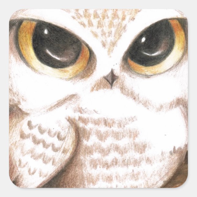 Sticker Carré Cute Owl (Devant)