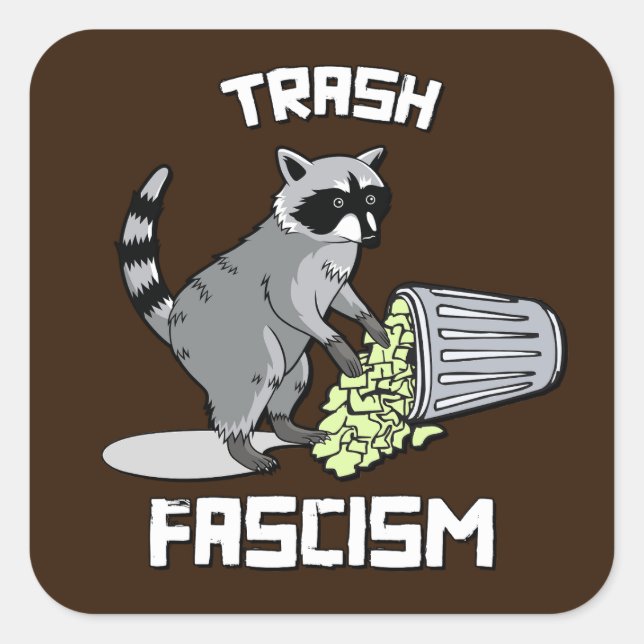 Sticker Carré Cute Retro Raccoon - Trash Fascisme (Devant)