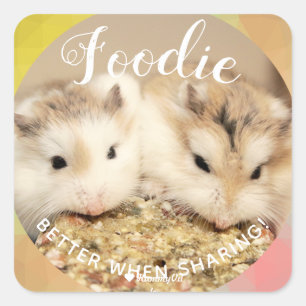 Sticker Carré Cute Robo Hamsters Foin