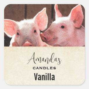 Sticker Carré Cute rose Piglets Animal Photo Candle Craft