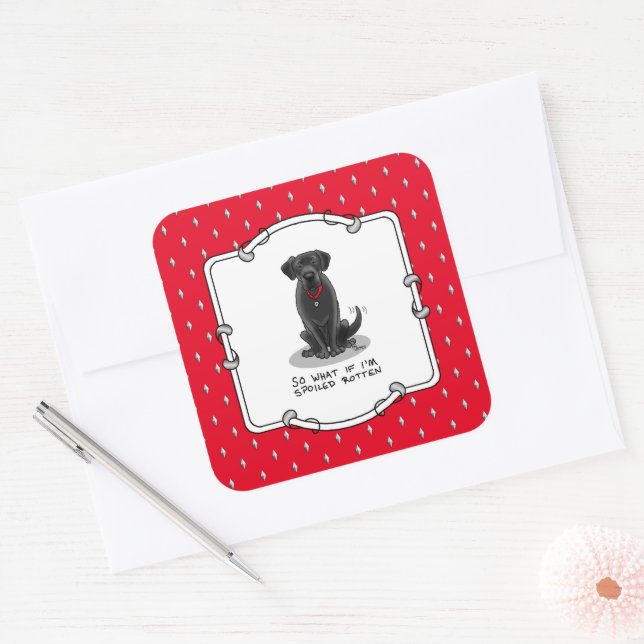 Sticker Carré Cute Spoten Rotten Black Labrador Retriever Chien (Enveloppe)