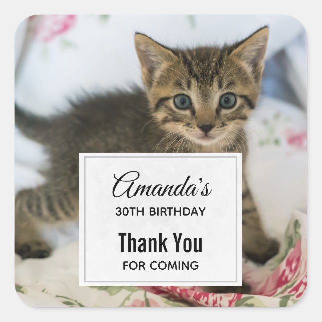 Sticker Carré Cute Tabby Kitten Semblable Anniversaire Surpris (Devant)