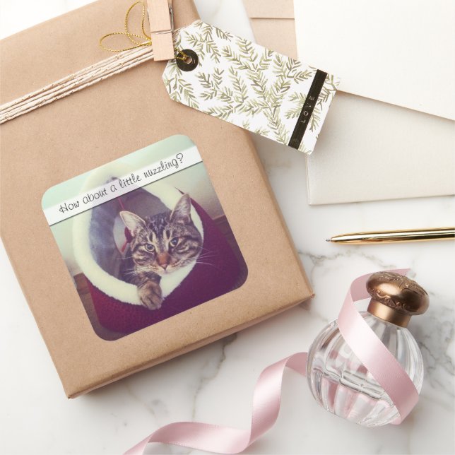 Sticker Carré Cute Tabby Kitty dans la cabane Modèle photo (Cadeaux)