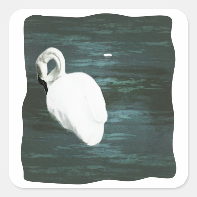 Sticker Carré Cygne à l'étang (Devant)