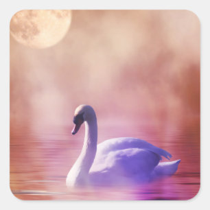 Sticker Carré Cygne blanc flottant sur un lac brumeux