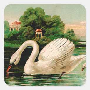 Sticker Carré Cygne vintage dans le lac