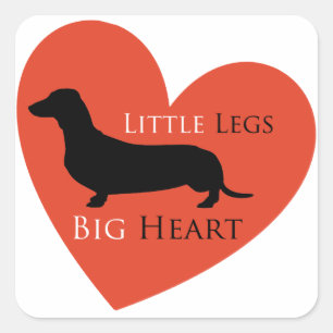 Sticker Carré Dachshund