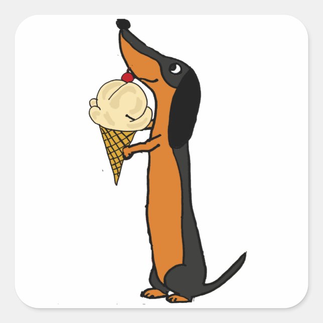Sticker Carré Dachshund Chien Donnant De La Crème De Glace (Devant)