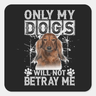 Sticker Carré Dachshund Chien - Ne Me Traitera Pas Les Cadeaux
