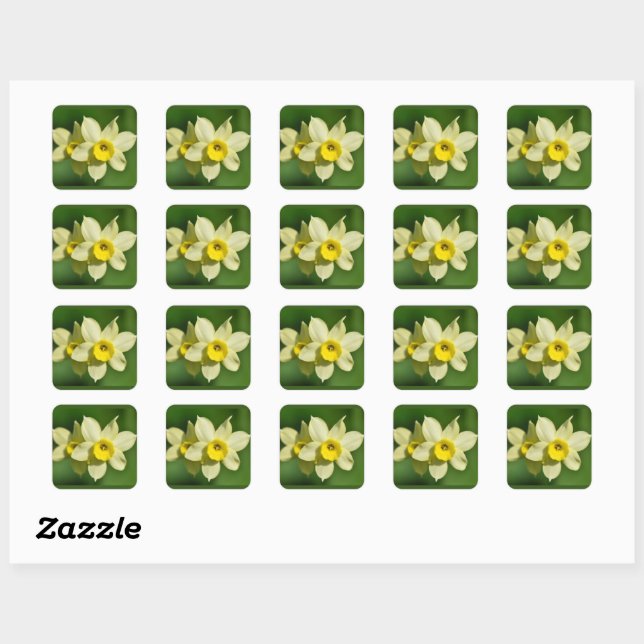 Sticker Carré Daffodiques de printemps jaune (Feuille)