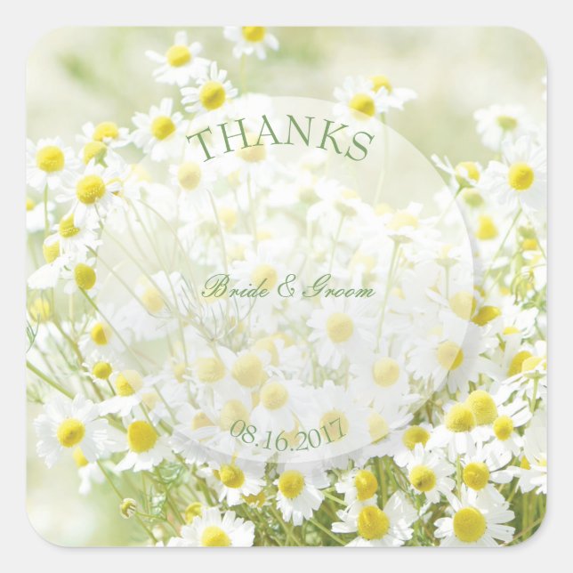 Sticker Carré Daisées de Summerfield Chamomile Flower Merci Mari (Devant)