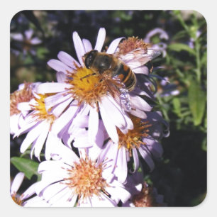 Sticker Carré Daisies de Working