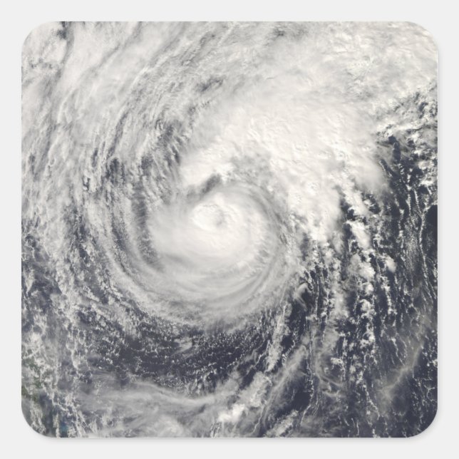 Sticker Carré Dauphin du typhon dans la mer des Philippines (Devant)