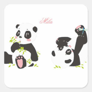 Sticker Carré De mignons pandas 