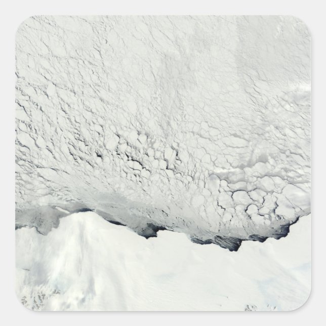 Sticker Carré Début du printemps en Antarctique (Devant)