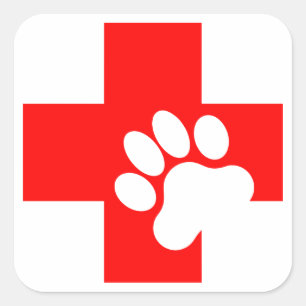 Sticker Carré Décalages de premiers soins pour animaux