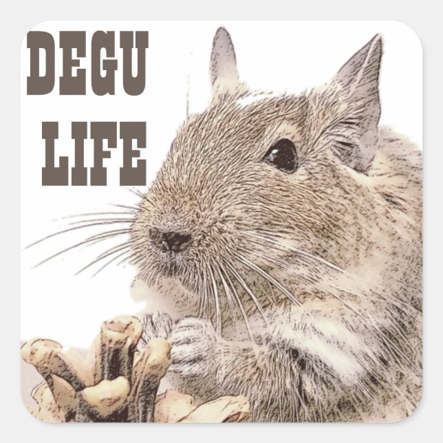 Sticker Carré ► DEGU ►   Rodents (Devant)