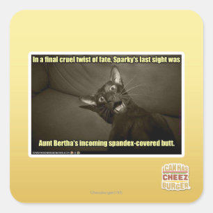 Sticker Carré Dernière vue Sparky