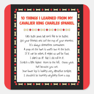 Sticker Carré Des Choses Drôle Que J'Ai Apprises Du Roi Cavalier