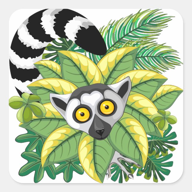 Sticker Carré Des lémuriens de Madagascar dans la jungle exotiqu (Devant)