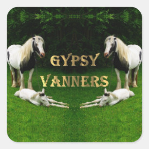 Sticker Carré des Vanners Tziganes