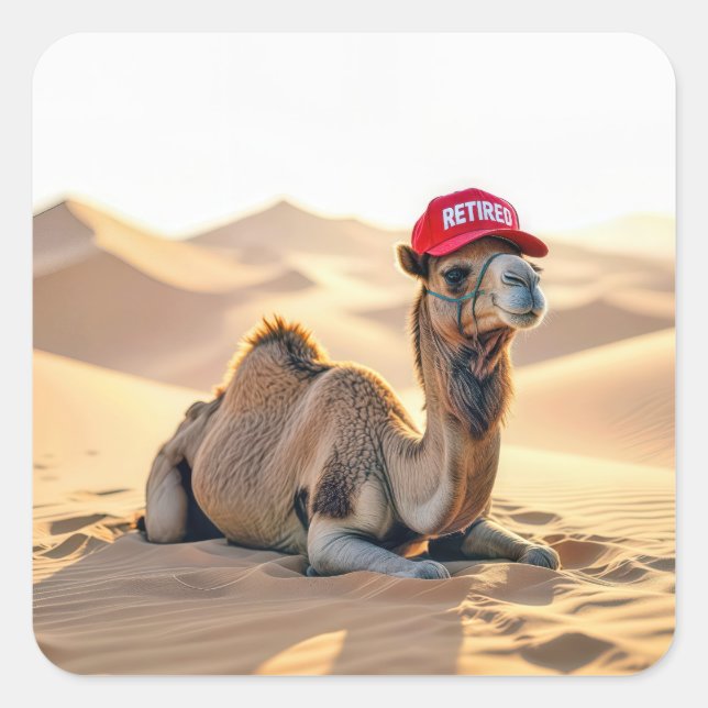Sticker Carré Desert Camel Wearing a Red Retired Cap (Devant)