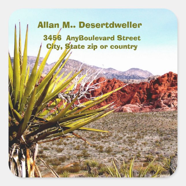 Sticker Carré Desert Scenery Cactus Adresse de retour (Devant)