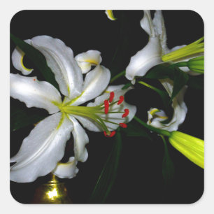 Sticker Carré Design irlandais en laiton et en fleur