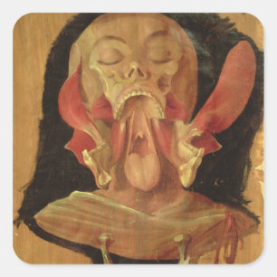 Sticker Carré Dessin anatomique de la tête