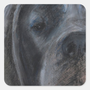 Sticker Carré Dessin au pastel Grand Danois bleu