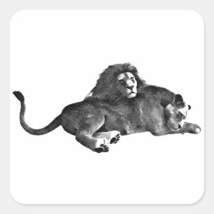Sticker Carré Dessin d'art animal original pour les lions mâles