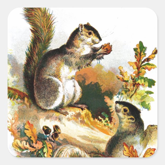 Sticker Carré Dessin vintage : Écureuils en automne (Devant)