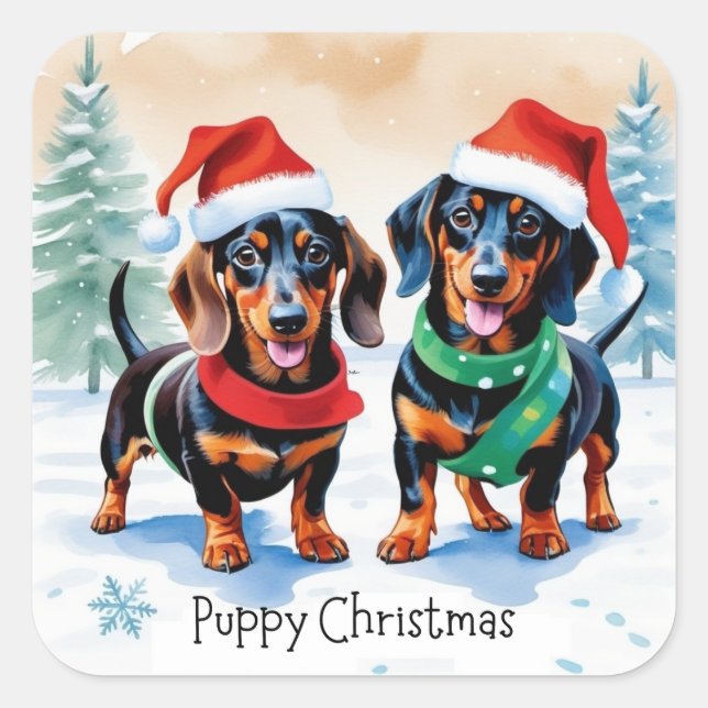Sticker Carré Deux mignonnes chiots Dachshund Chien de compagnie (Devant)