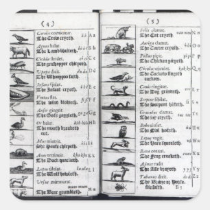 Sticker Carré Deux pages de 'Orbis Sensualium Pictus'