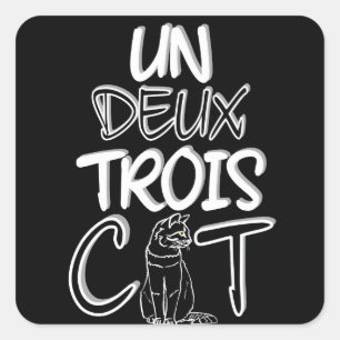Sticker Carré Deux Trois Cat Funny French