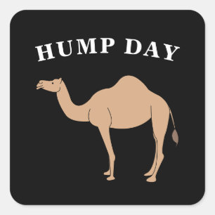 Sticker Carré Devinez Quel Jour C'Est Hump Day Camel Desert Anim