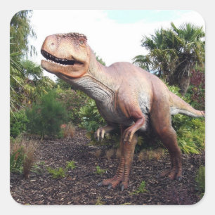 Sticker Carré Dinasaur