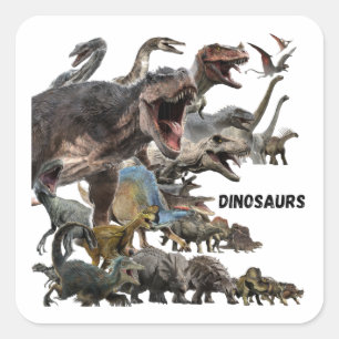 Sticker Carré Dinosaures