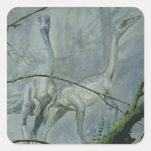 Sticker Carré Dinosaures Vintage, Megapnosaurus aka Syntarsus