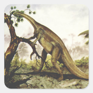 Sticker Carré Dinosaures Vintage, Plateosaurus Paissant sur des 