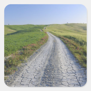 Sticker Carré Dirt Road à travers Fields and Hills, Val d'Orcia,