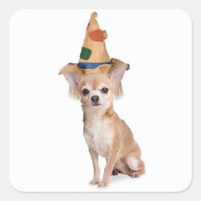 Sticker Carré Ditzy Dogs~Sticker original~Chihuahua~Halloween (Devant)