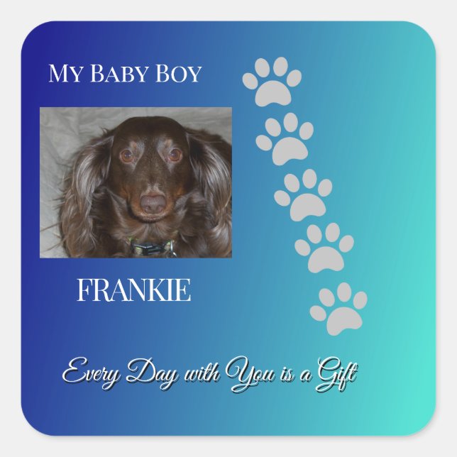 Sticker Carré Divine Pawprints Tribute (Devant)