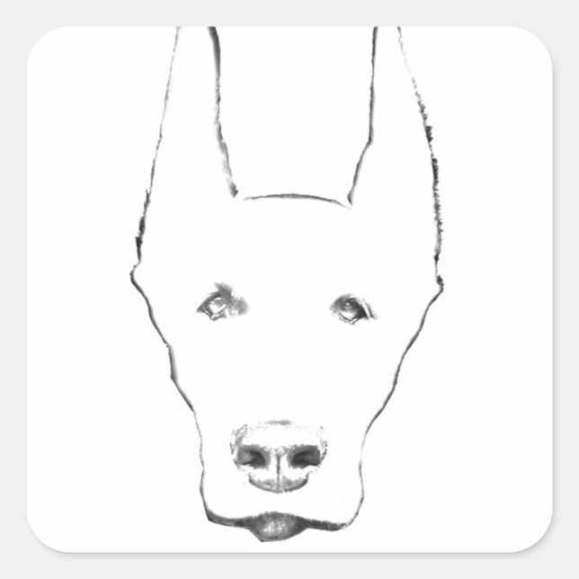 Sticker Carré Doberman Pinscher Dog Croquis Visage (Devant)