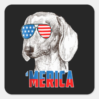 Sticker Carré Dog | Cool Dachshund 'Merica