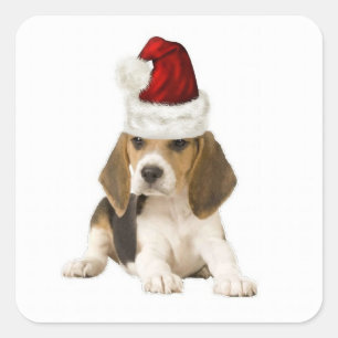 Sticker Carré Dogs~Original Ditzy Sticker~Beagle~Christmas